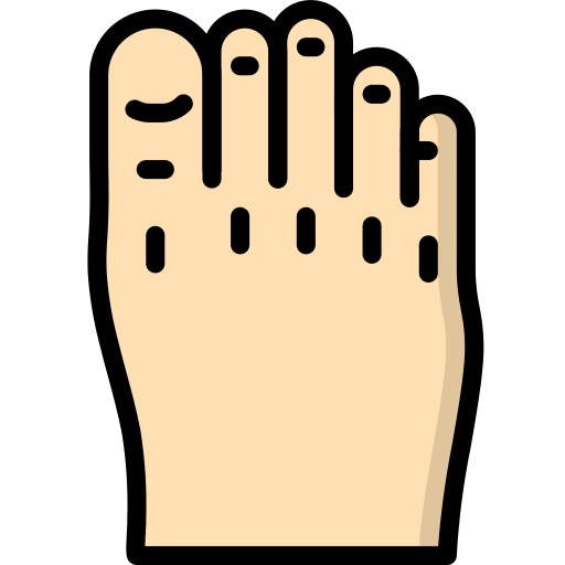 Pie Derecho Superior