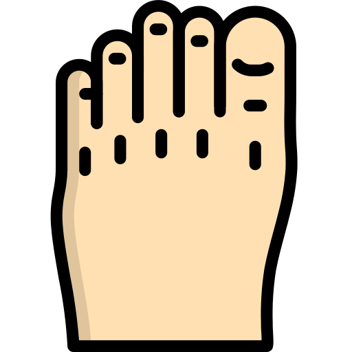 Pie Izquierdo Superior